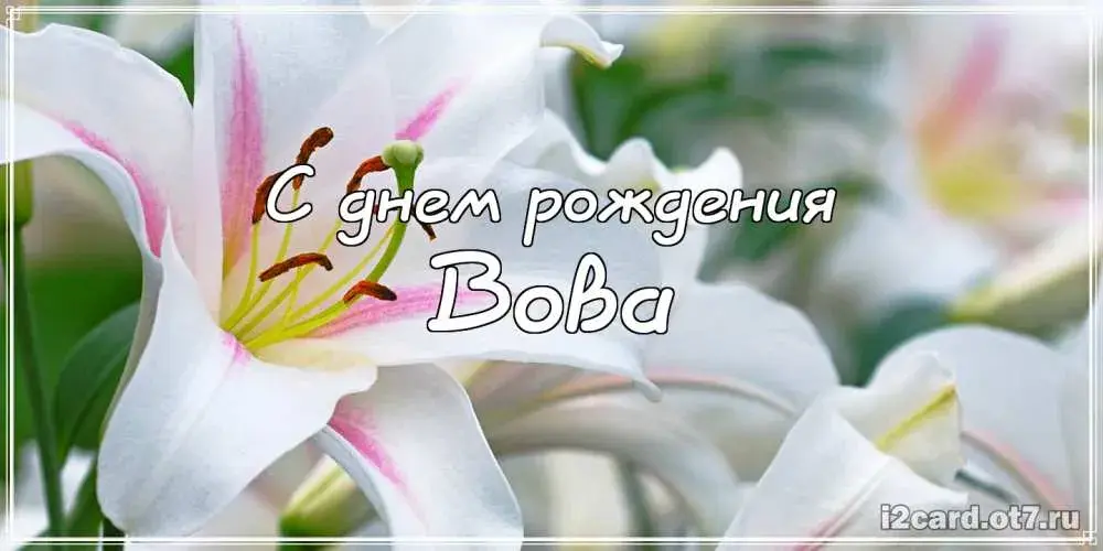 Открытка открытки с именем Владимир - Открытка "С днем рождения" с белыми лилиями | Красивая открытка #63