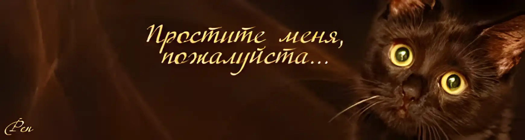 Открытка открытки с извинениями  - Открытка с котом: милый портрет с янтарными глазами | Красивая открытка #112