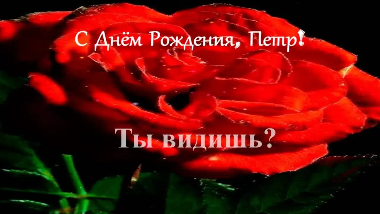 Открытка Открытки с именем Петр - Красная роза: Открытка с днем рождения | Красивая открытка #67
