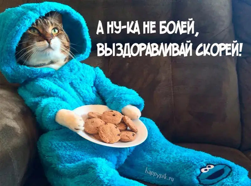 Открытка Выздоравливай - Котенок в халате с печеньками - забавная открытка | Красивая открытка #101