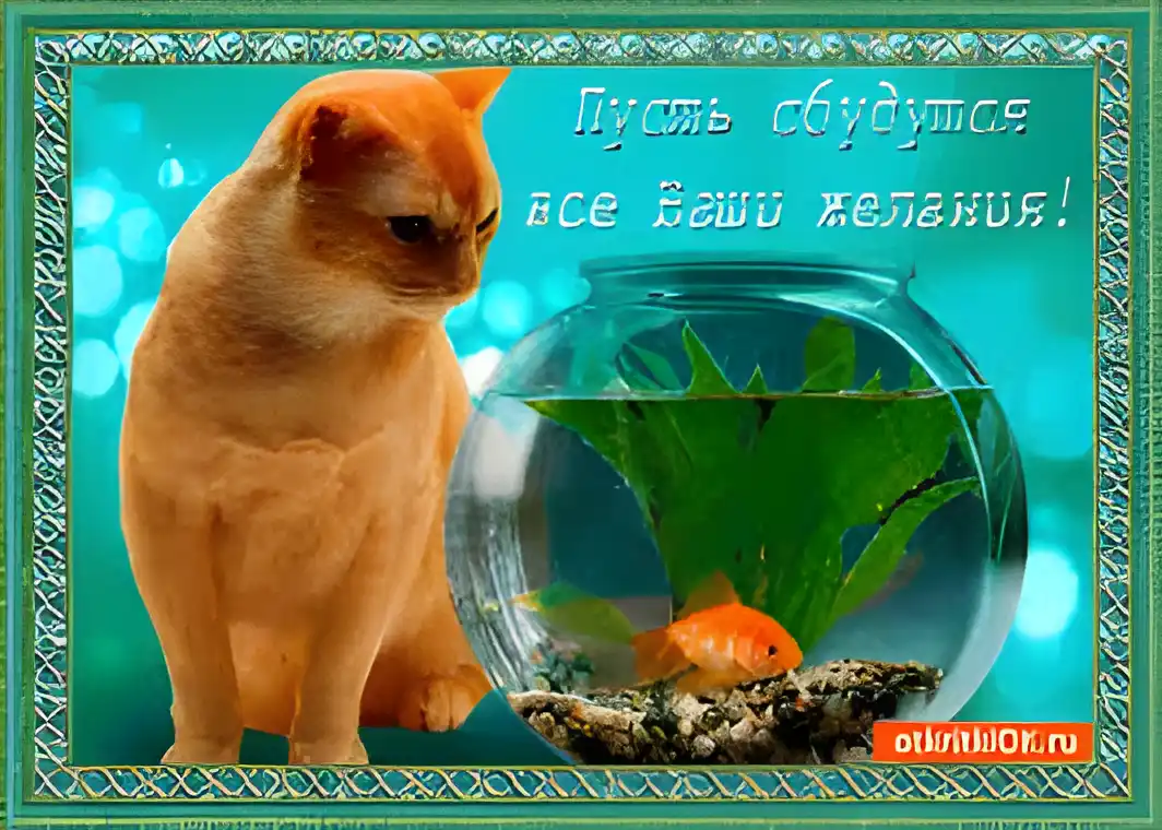 Открытка Открытки пусть сбудутся мечты - Кошка и аквариум: забавная открытка с золотой рыбкой | Красивая открытка #101