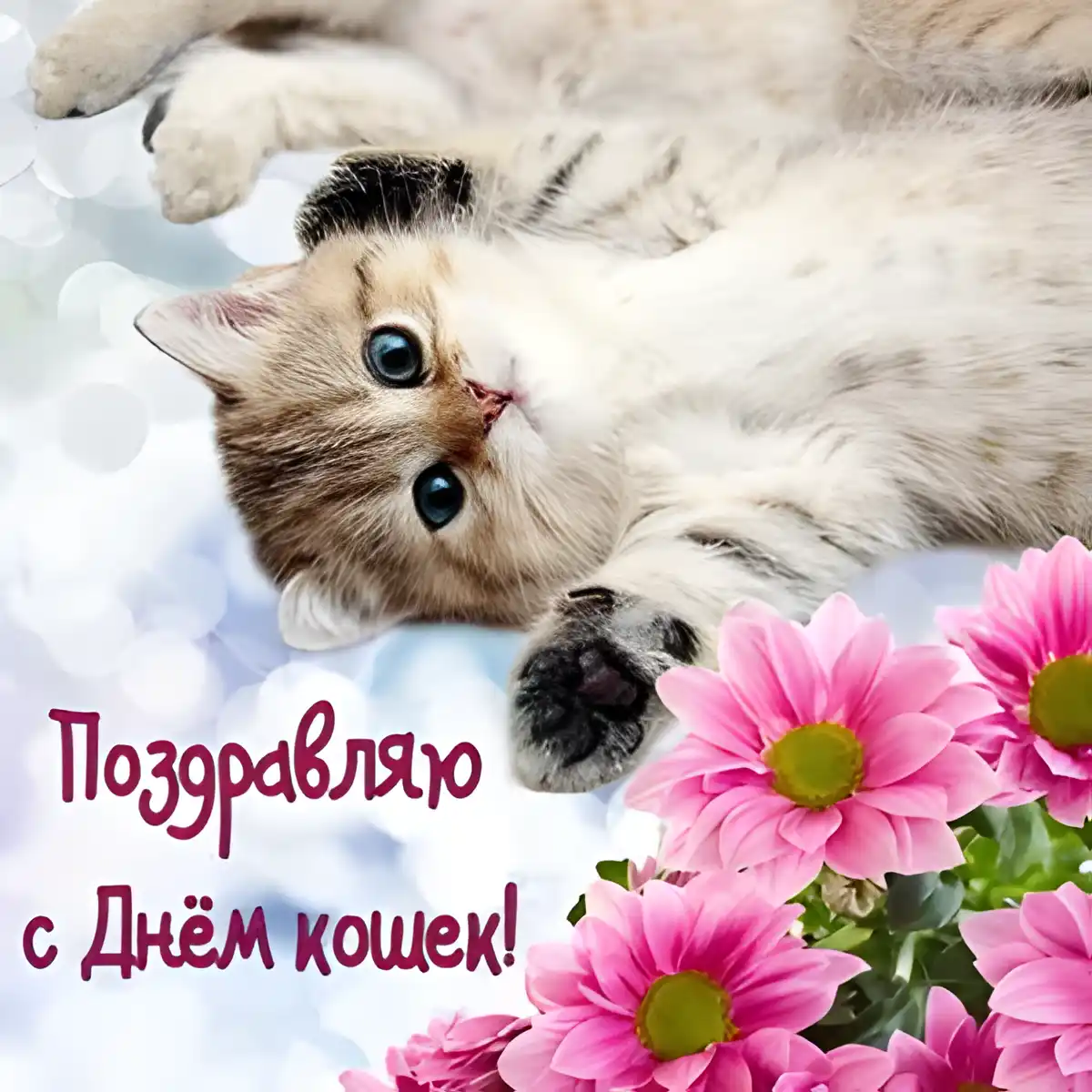Открытка С Всемирным днём кошек - Открытка с котенком: С Днем! Симпатичный котенок и цветы | Красивая открытка #55