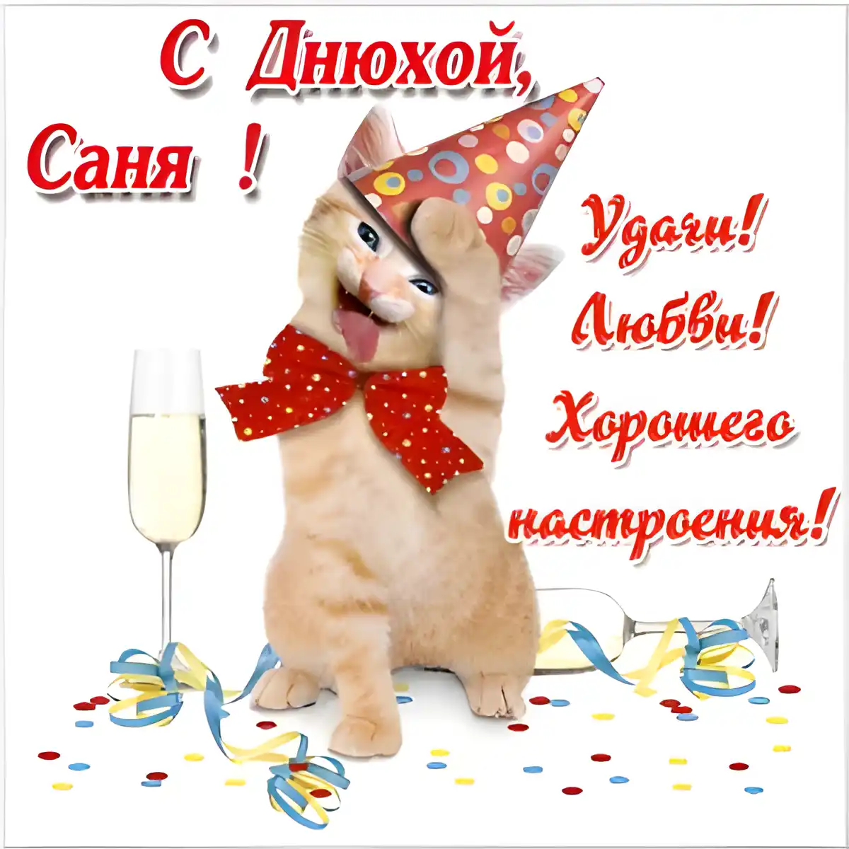 Открытка Открытки с именем Александра - Котенок с шариками и бокалом шампанского | Красивая открытка #1