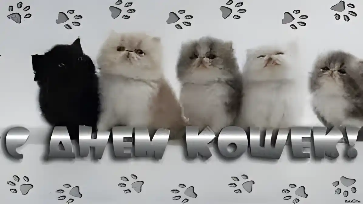 Открытка Открытки с днем кошек - Открытка с котятами: милые котята для поздравлений | Красивая открытка #23