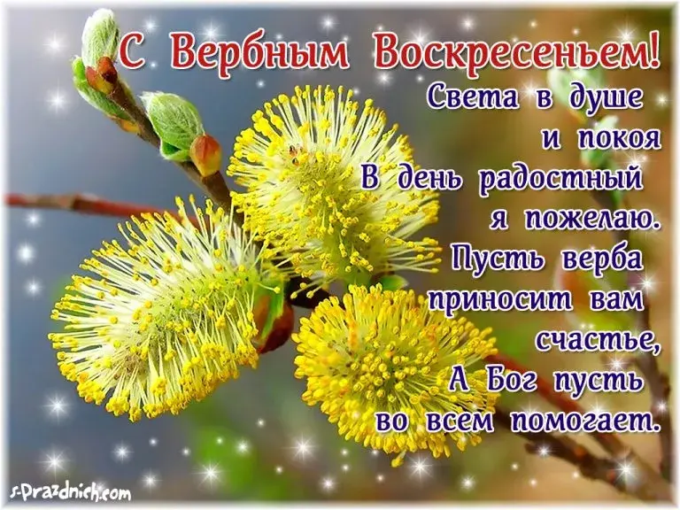 Открытка Вербное Воскресенье - Верба расцвела: поздравительная открытка | Красивая открытка #321