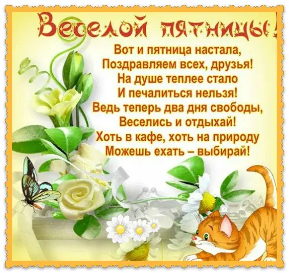 Открытка Удачной пятницы - Открытка с котиком и цветами: поздравления с праздником | Красивая открытка #21