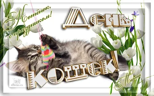 Открытка С Всемирным днём кошек - Открытка с котенком и цветами | Красивая открытка #34
