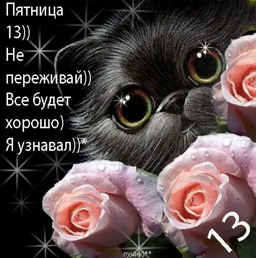 Открытка Открытки на пятницу 13 - Открытка с котиком и розовыми цветами | Красивая открытка #91