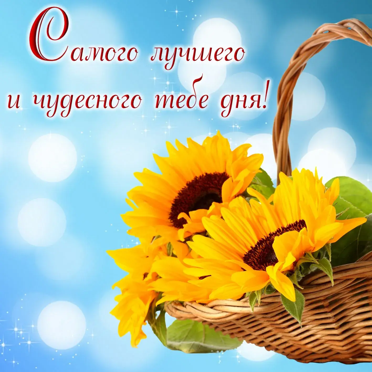 Открытка добрый день - Солнечные подсолнухи в корзине: открытка | Красивая открытка #35