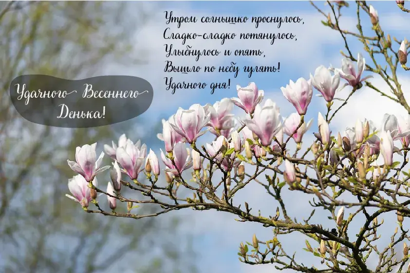 Открытка Весна - Цветущая вишня: весенняя открытка с нежностью | Красивая открытка #20