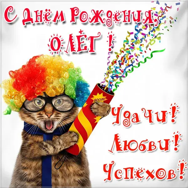 Открытка Открытки с именем Олег  - С Днем Рождения! Кот в колпаке и конфетти | Красивая открытка #169