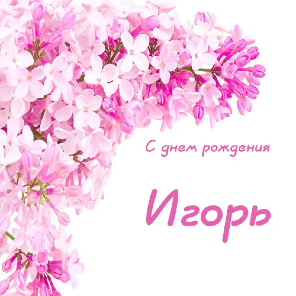 Открытка открытки с именем Игорь - Открытка с цветущей сиренью: С днем рождения! | Красивая открытка #216