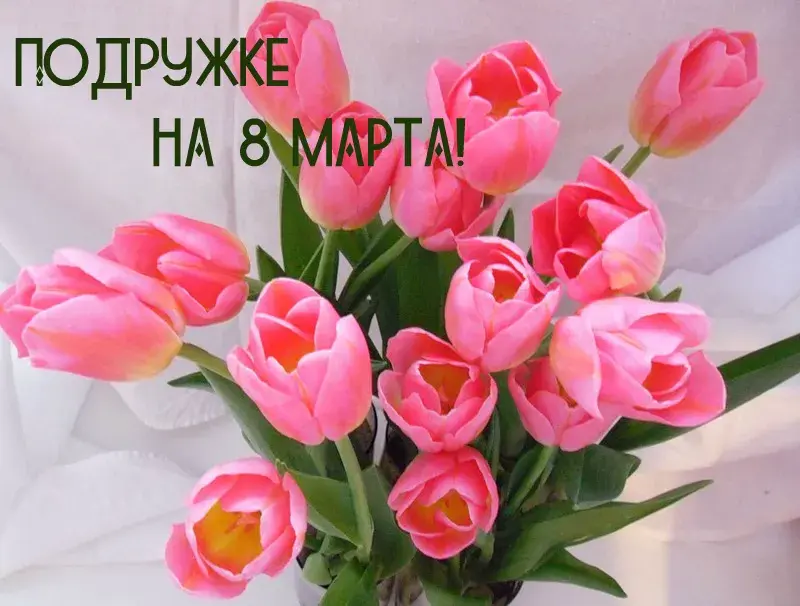 Открытка С 8 марта подруге - Букет тюльпанов: нежные цветы на 8 марта | Красивая открытка #13