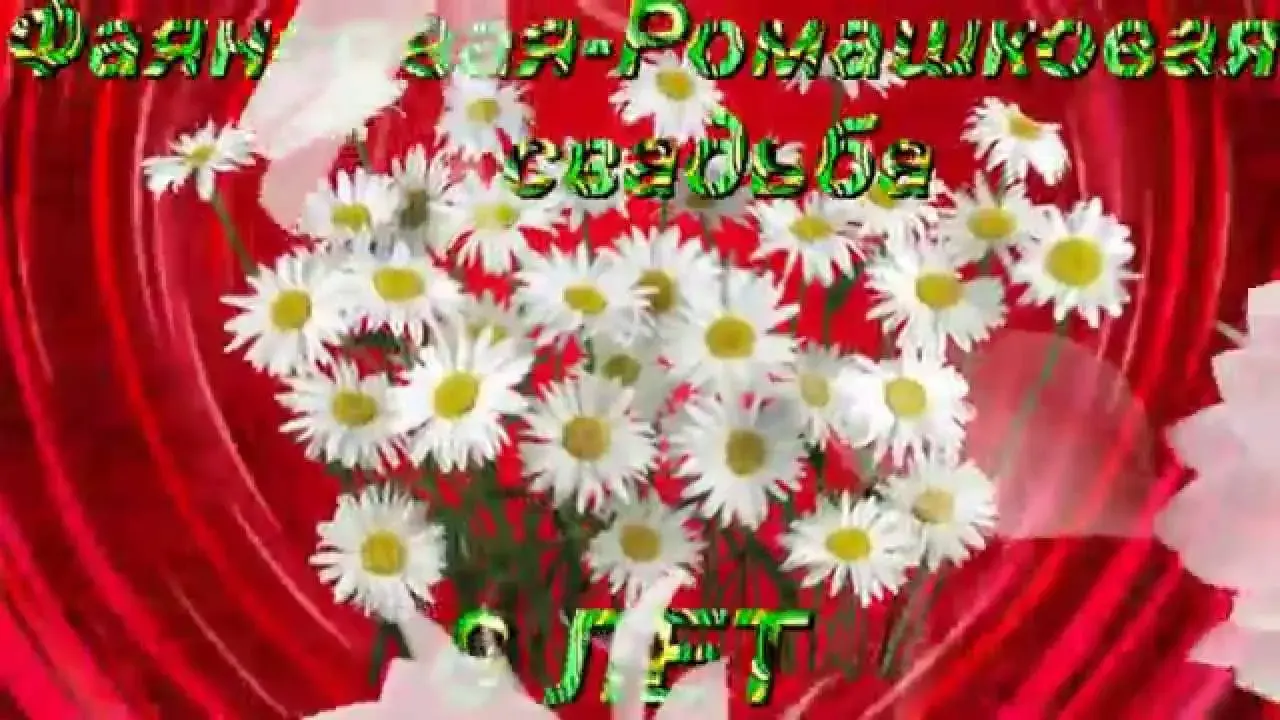 Открытка Открытки на Фаянсовую/Ромашковую свадьбу 9 лет - Полевые цветы: ромашки на зеленой траве | Красивая открытка #17