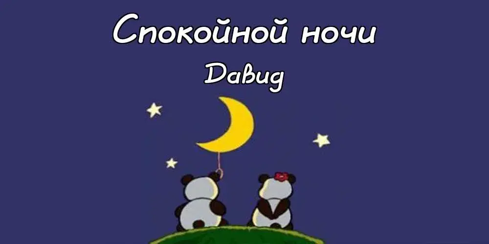 Открытка открытки с именем Давид - Два панды и луна: открытка с добрым вечером. | Красивая открытка #246