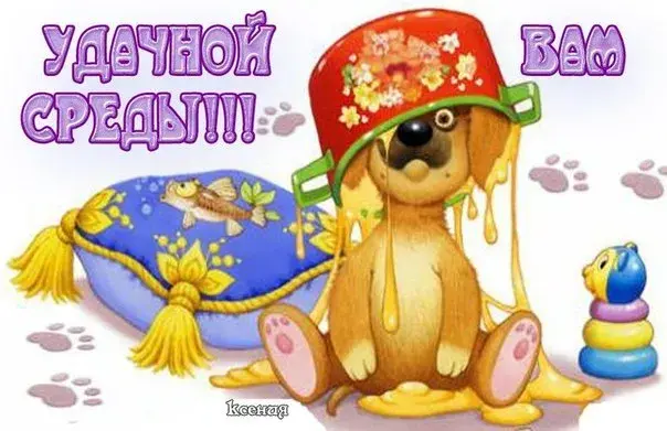 Открытка Открытки на среду - Собака в шлеме на подушке - поздравительная открытка | Красивая открытка #211