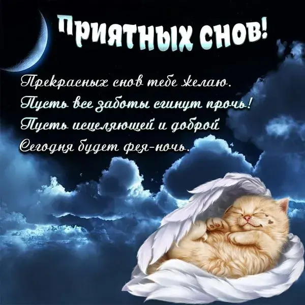 Открытка Спокойной ночи - Открытка с котенком и крыльями: С добрым сном | Красивая открытка #34