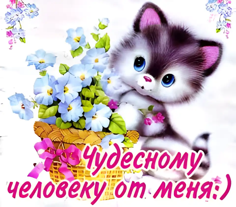 Открытка От меня - Котенок с цветами: открытка с милым котенком | Красивая открытка #21