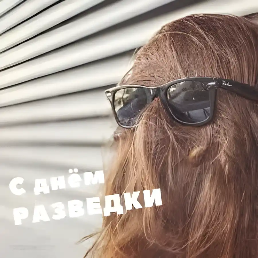 Открытка Открытки с днем военного разведчика - С Днем Разведчика: Стильная Открытка с Парнем | Красивая открытка #32