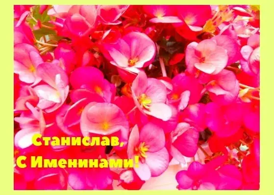 Открытка Открытки с именем Станислав  - Открытка с розовыми цветами | Красивая открытка #57