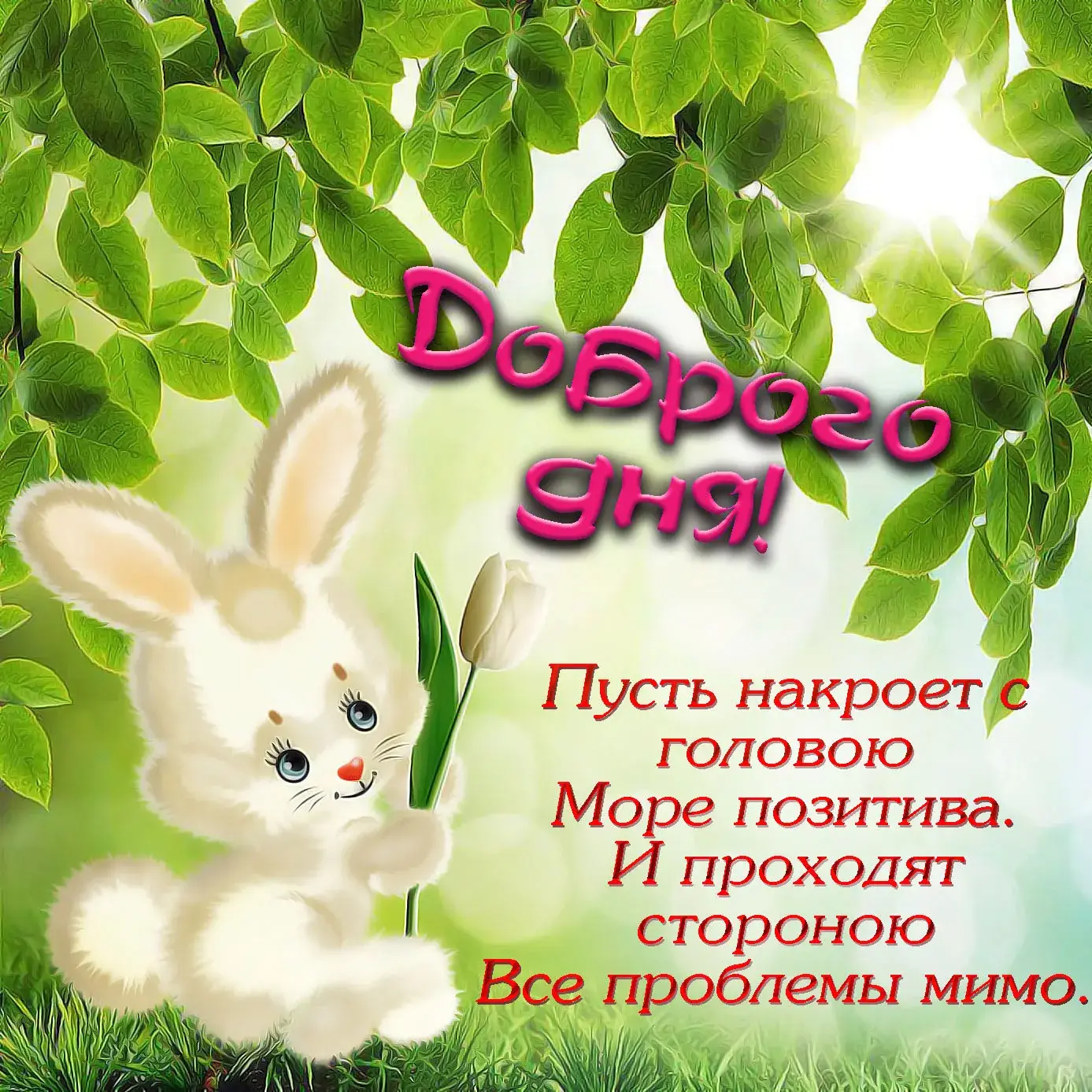 Открытка С зайчиками - Открытка: Зайчик на фоне зелени и цветов. | Красивая открытка #19