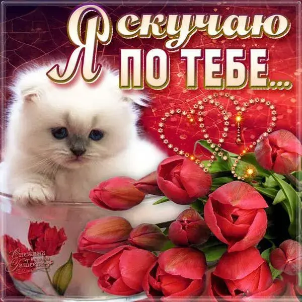 Открытка Скучаю - Открытка: котенок и розы | Красивая открытка #102
