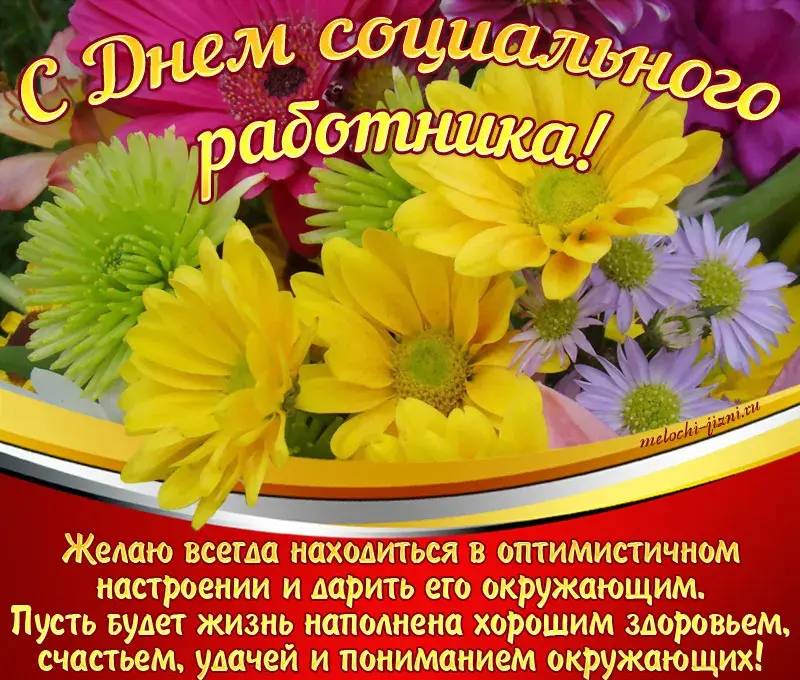 Открытка С днём социального работника - Поздравительная открытка с цветами: ромашки и оптимизм | Красивая открытка #2