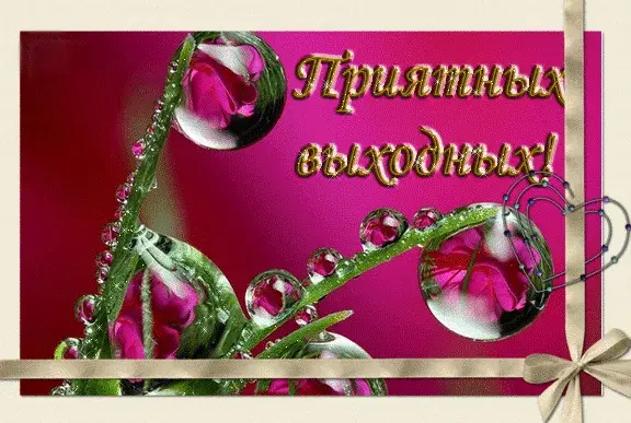 Открытка Хороших выходных - Открытка с розами и каплями росы | Красивая открытка #16
