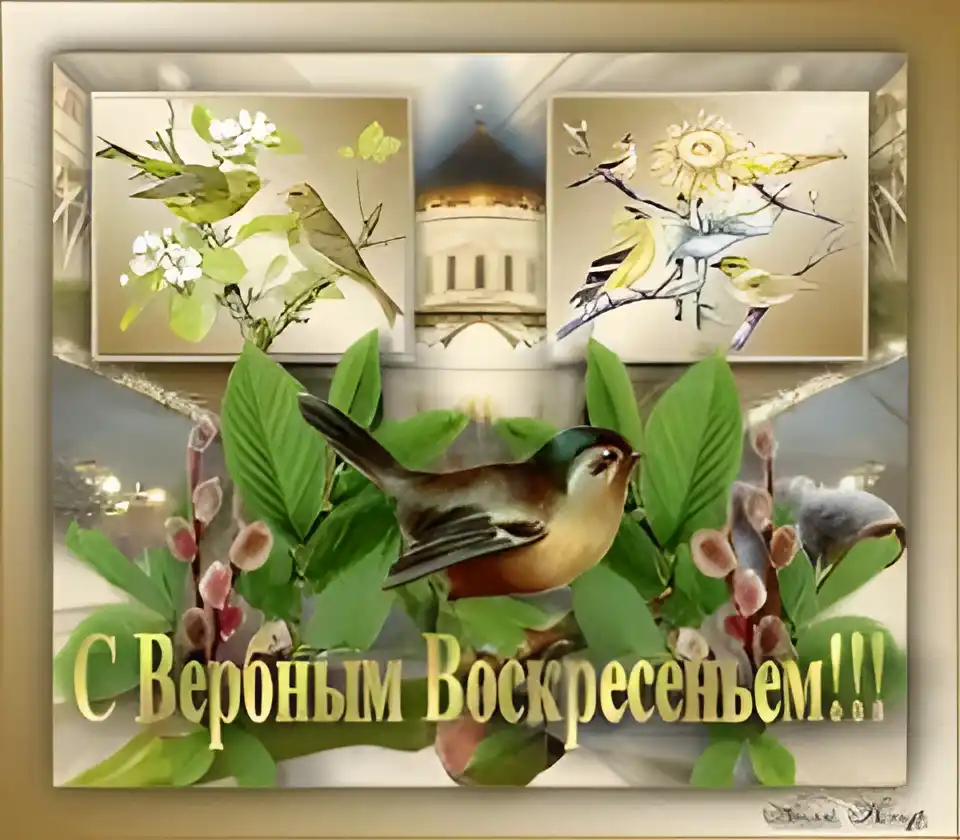 Открытка открытки с вербным воскресеньем  - Открытка с птицами и весенними ветками | Красивая открытка #96