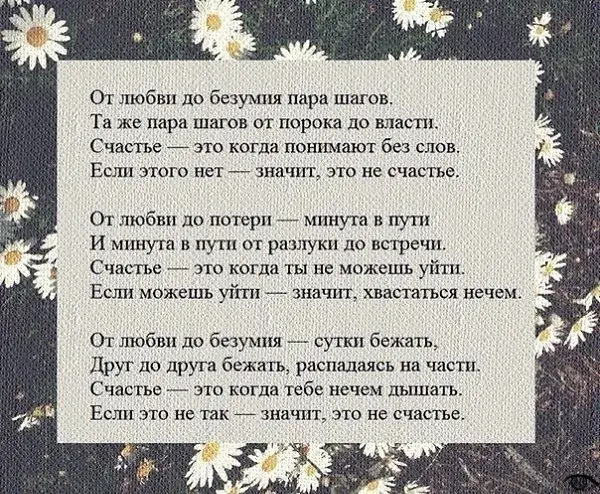 Открытка Стихи о любви - Открытка с цветами: нежные ромашки, теплые слова | Красивая открытка #21