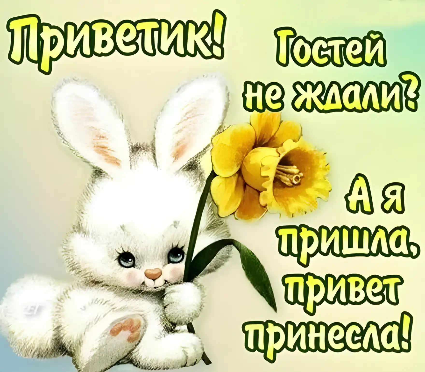 Открытка Привет - Открытка с зайчиком и цветком: милая поздравительная открытка | Красивая открытка #63