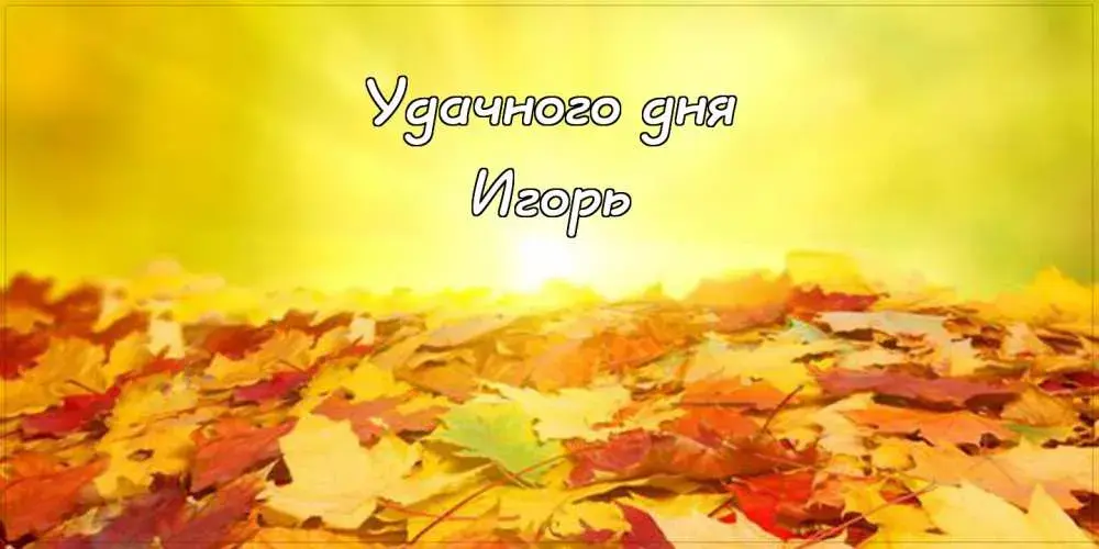 Открытка открытки с именем Игорь - Осенние листья: яркая открытка с надписью | Красивая открытка #226