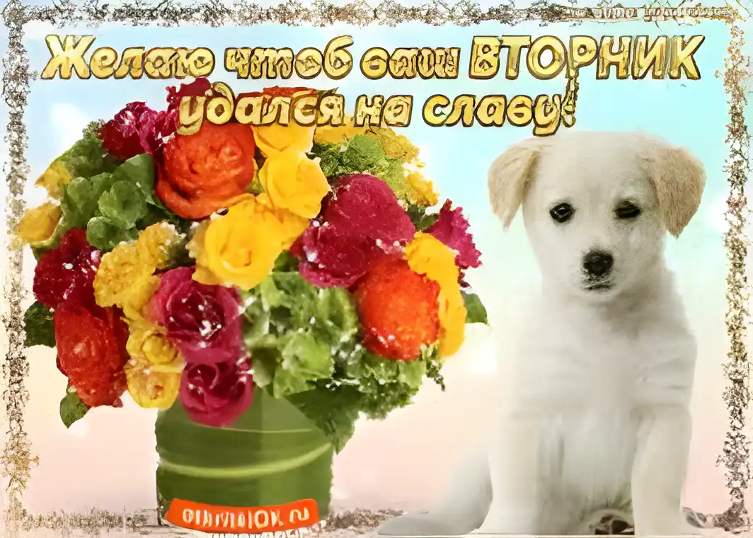 Открытка Открытки на вторник - Открытка с цветами и щенком - С Днём рождения! | Красивая открытка #138