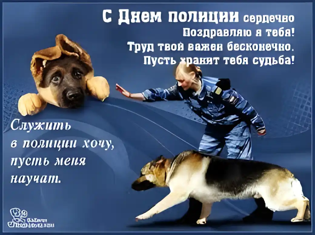 Открытка День полиции - Открытка с немецкой овчаркой и полицейским | Красивая открытка #77