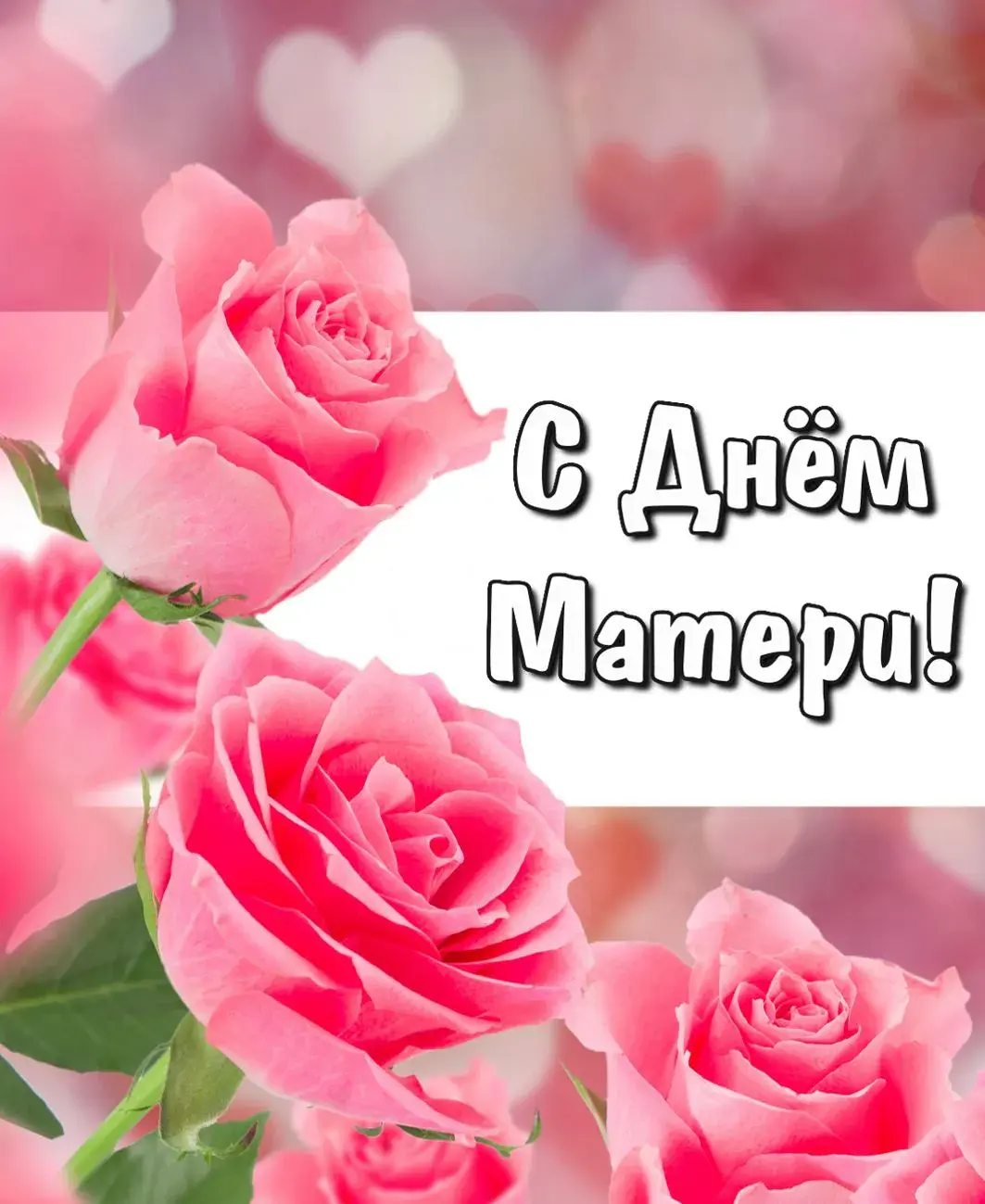 Открытка С розовыми розами - Розовые розы на открытке: поздравительная открытка | Красивая открытка #22