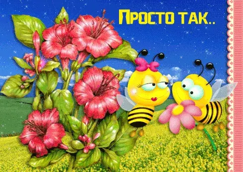 Открытка Просто так - Открытка с пчелками и цветами | Красивая открытка #45