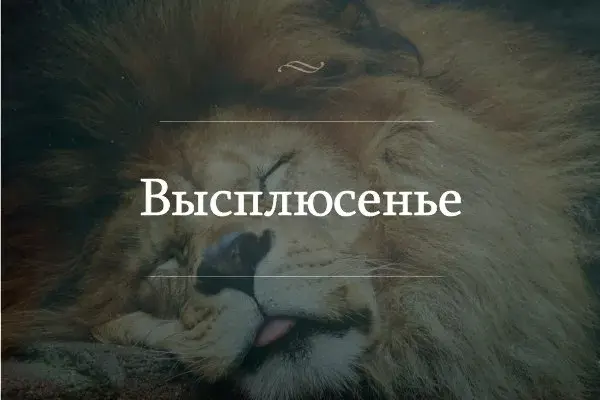 Открытка Выходные - Спящий лев: открытка с милым животным | Красивая открытка #40