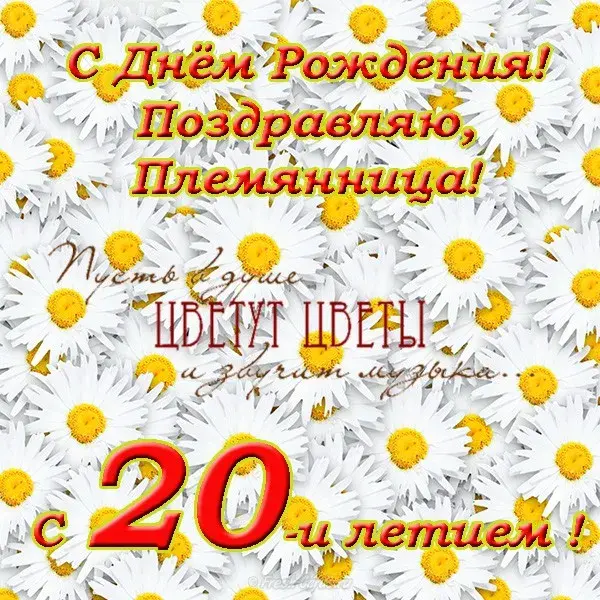 Открытка Открытки на 20 лет - Открытка с ромашками: С Днём Рождения! | Красивая открытка #34
