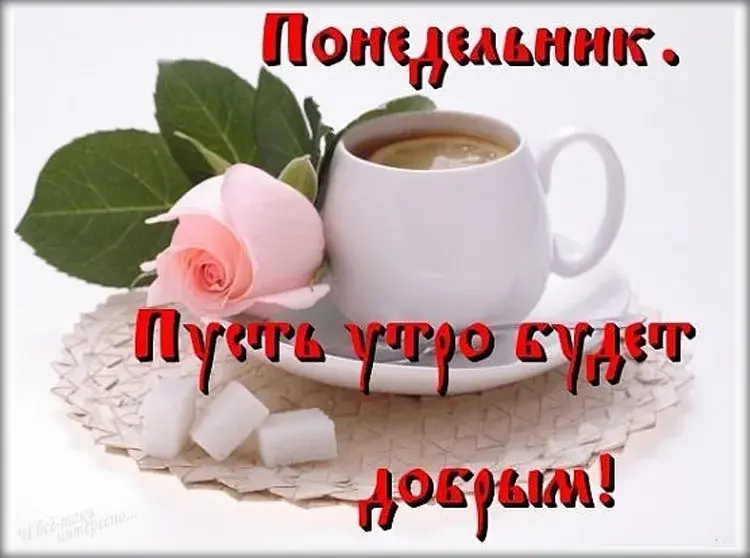 Открытка Доброе утро понедельник - Утро с цветами и кофе | Красивая открытка #32
