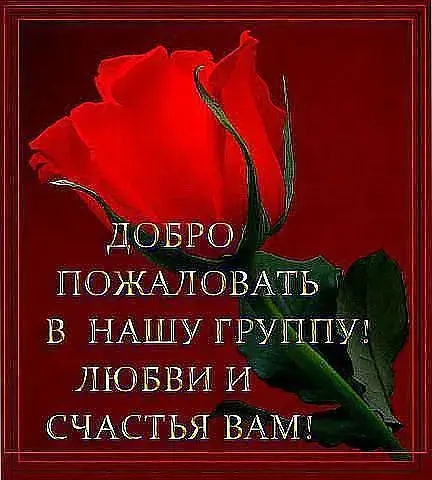 Открытка Добро пожаловать - Красная роза на алом фоне. Открытка с цветами. | Красивая открытка #7