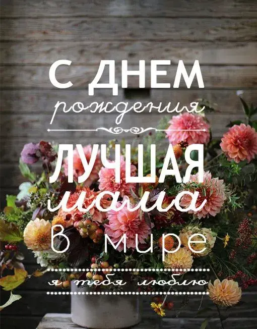 Открытка С Днем Рождения мамочке! - Открытка с цветами: День рождения, цветы в горшке | Красивая открытка #25