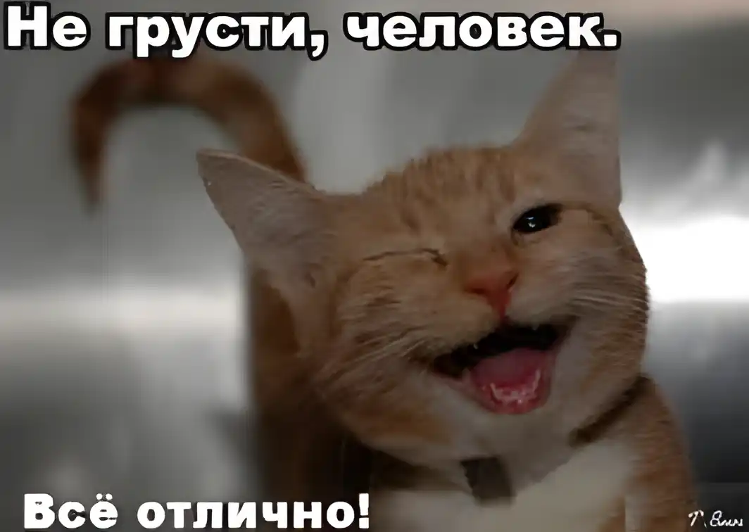 Открытка Не грусти - Рыжий кот с широкой улыбкой — смешная открытка | Красивая открытка #85