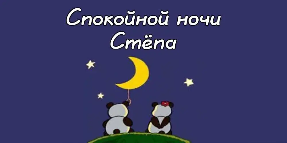 Открытка Открытки с именем Степан - Две панды на фоне ночного неба и луны | Красивая открытка #185