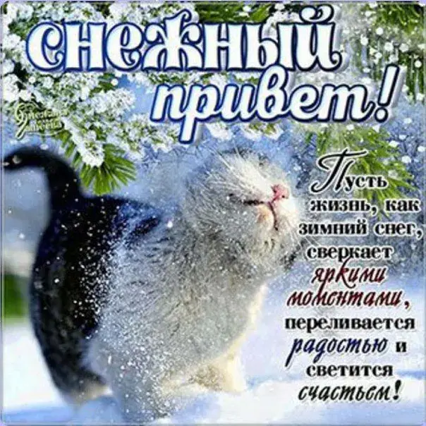 Открытка Январский - Зимняя открытка: рыжий кот в снегу — поздравления с праздником | Красивая открытка #2