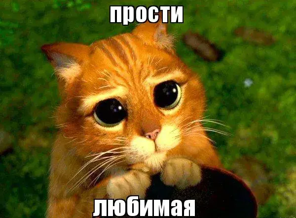 Открытка Открытки с извинениями любимым - Котенок с большими глазами: смешная открытка | Красивая открытка #21