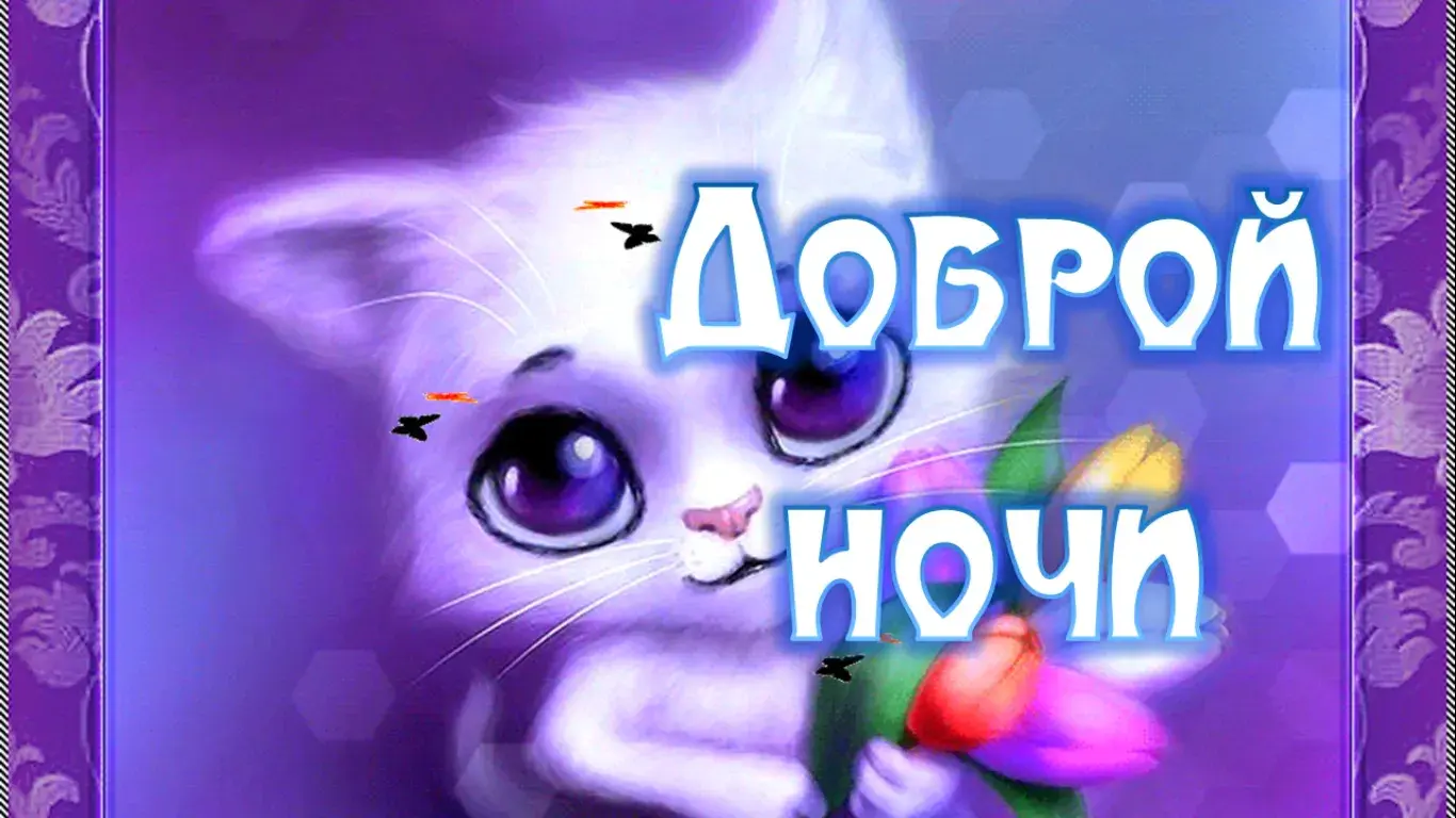 Открытка Доброй ночи - Открытка с котенком: Добрый вечер | Красивая открытка #138