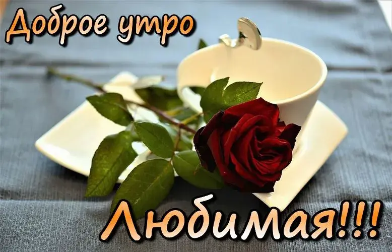 Открытка Открытки с добрым утром любимая - Розы в чашке: нежность и красота | Красивая открытка #16