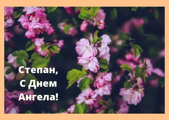 Открытка Открытки с именем Степан - Весенние цветы: нежная открытка с сакурой | Красивая открытка #190