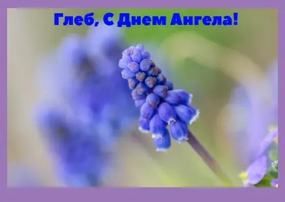 Открытка открытки с именем Глеб - Открытка с цветами: фиолетовые колокольчики | Красивая открытка #175