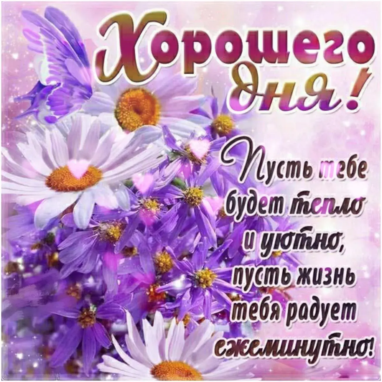 Открытка Хорошего дня - Открытка с фиалками и бабочкой | Красивая открытка #166